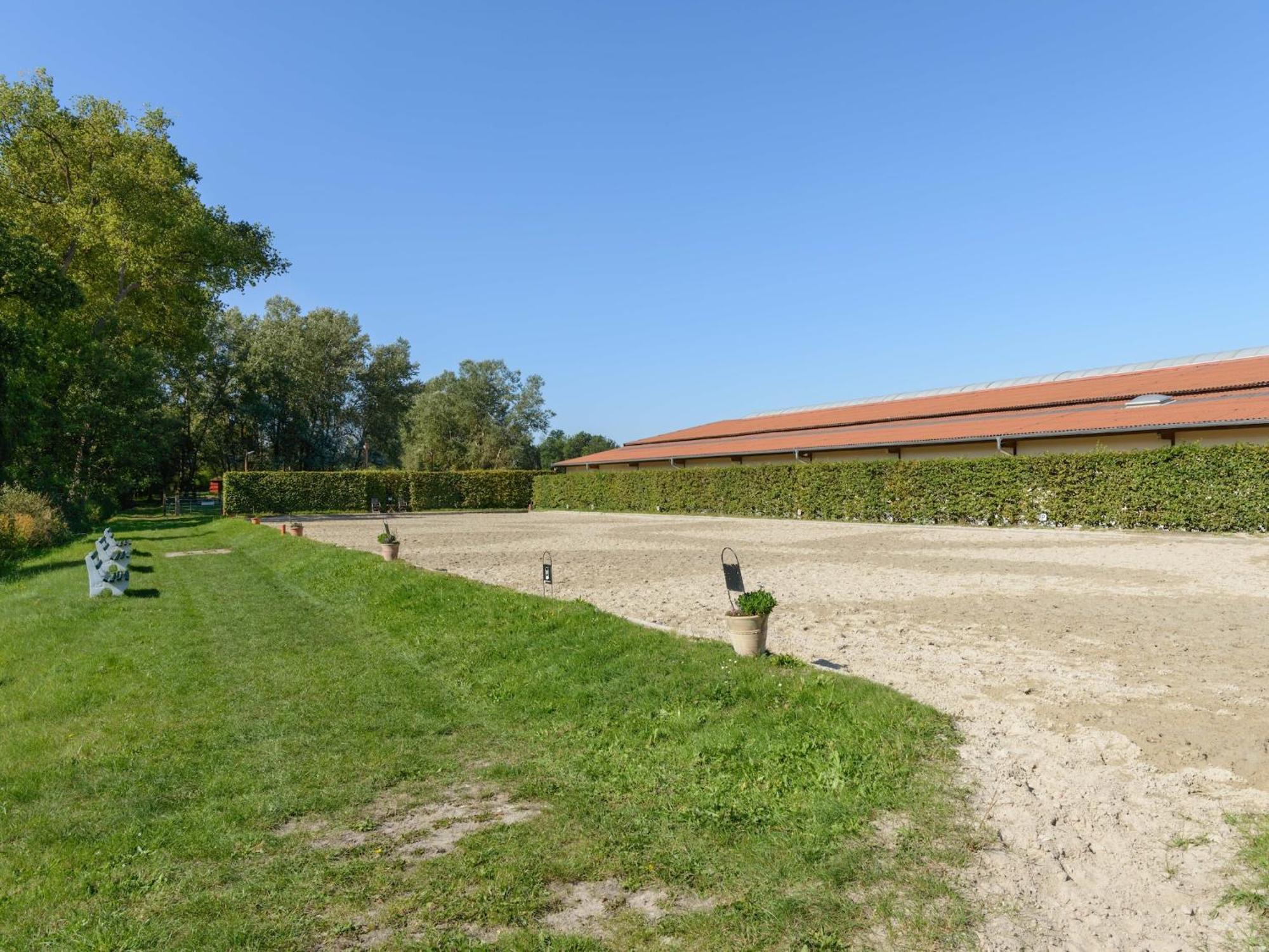 Cozy Holiday Home On A Horse Farm In The L Neburg Heath Eschede Exterior photo