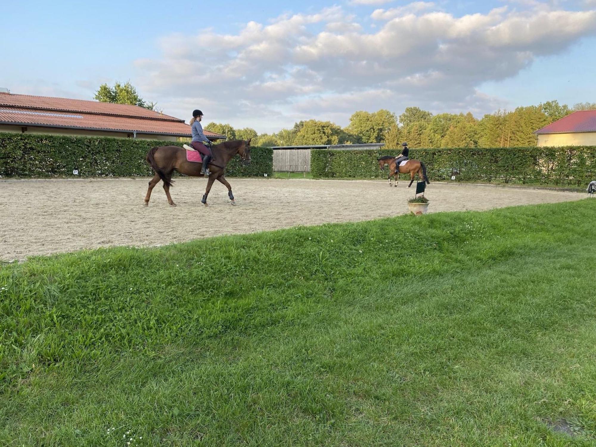 Cozy Holiday Home On A Horse Farm In The L Neburg Heath Eschede Exterior photo